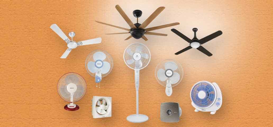 62ab0a2d703a3-fan.jpg