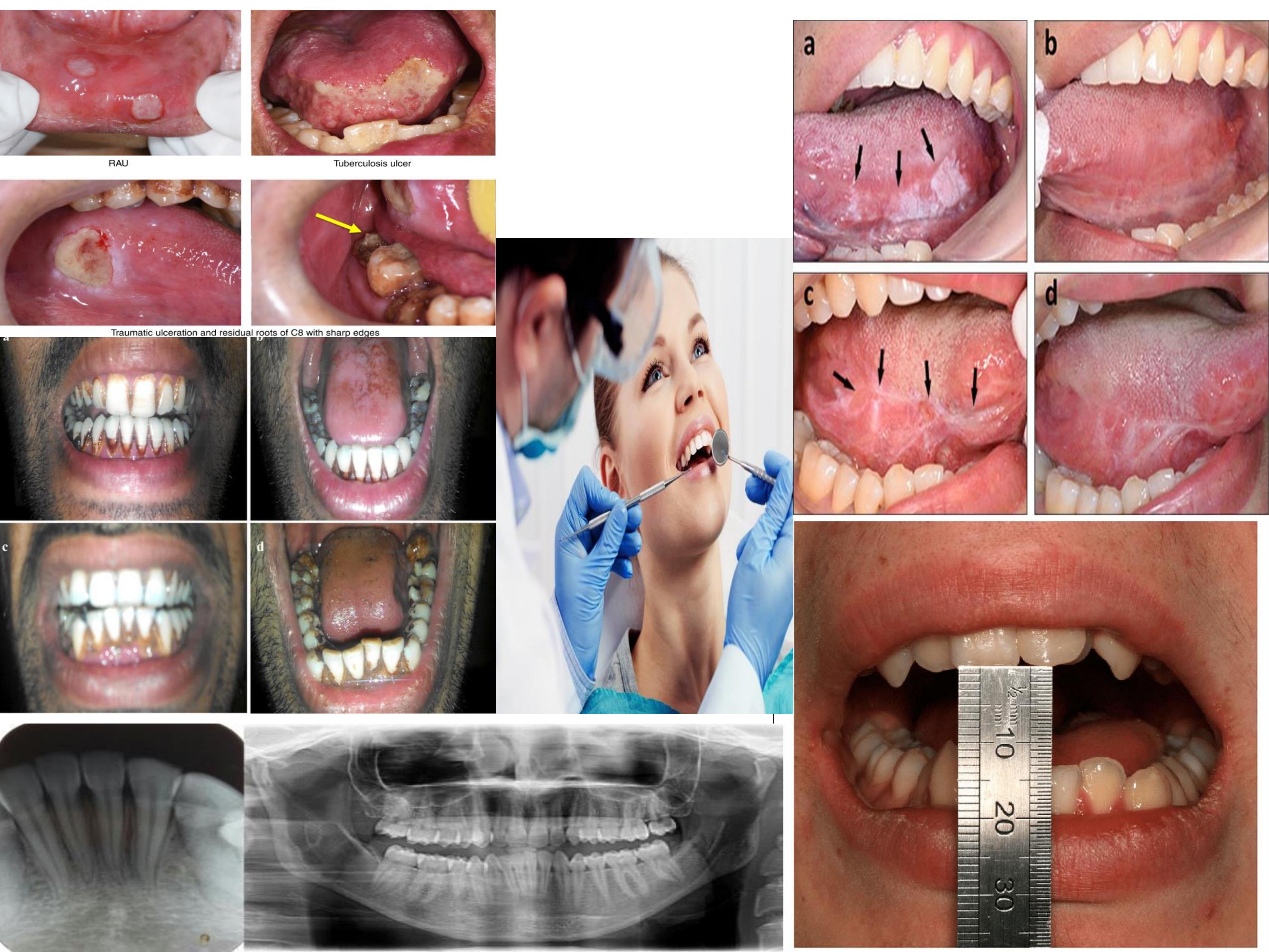 6347fe4e5f3e2-collage.jpg