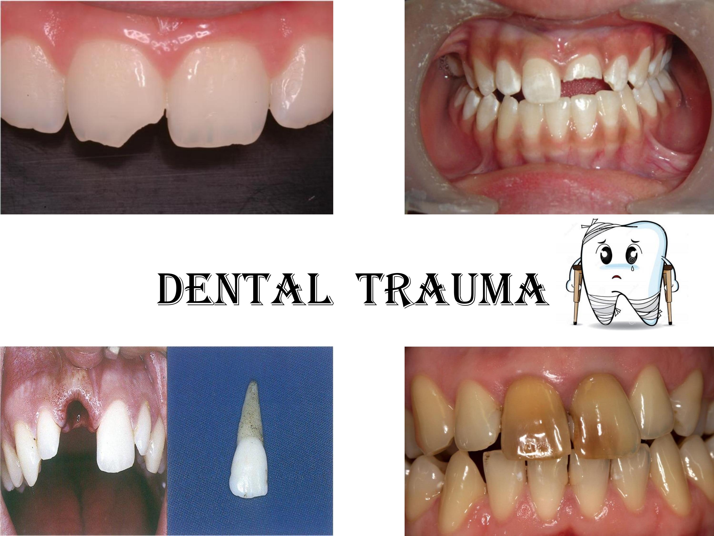 634fa54d251e1-ppt_2.jpg