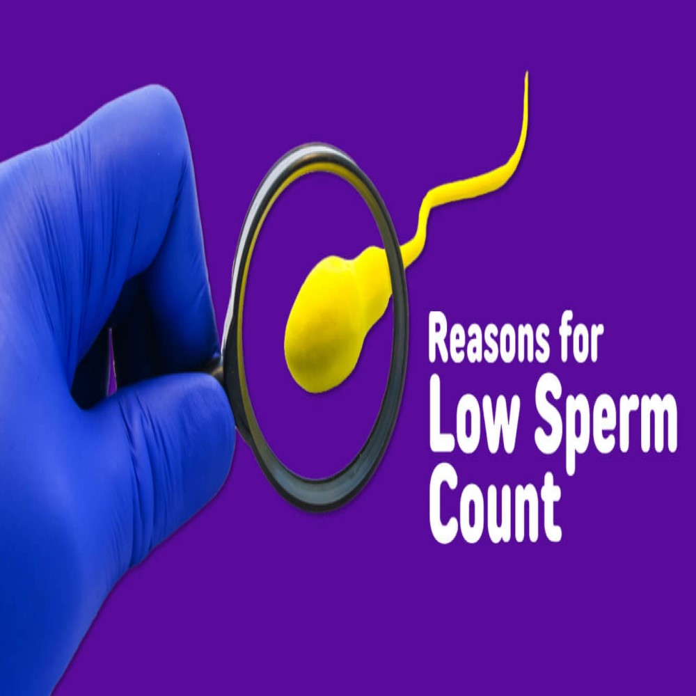 63f1ece4947e5-63abd65d8f01b58877942985Reasons-for-Low-Sperm-Count-Male-Infertility-Banker-IVF-02-2000x1125.jpeg