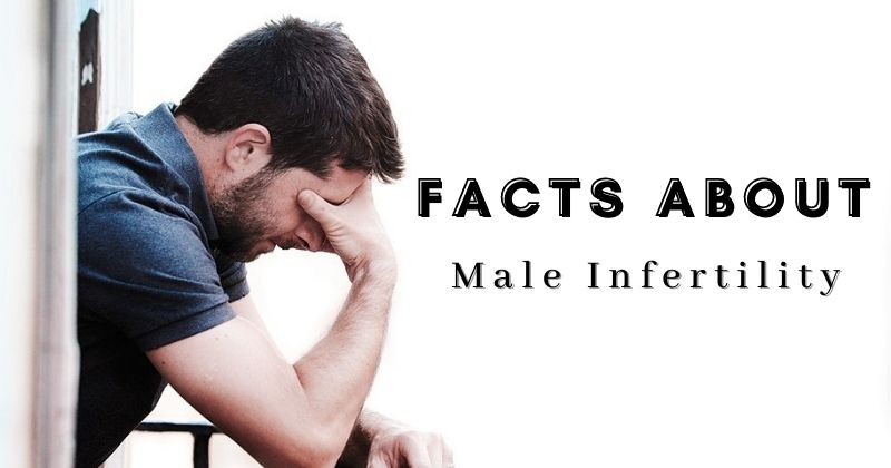 63f1ef3363def-634a3d6d9c290cdc557e980cFacts-About-Male-Infertility.jpeg