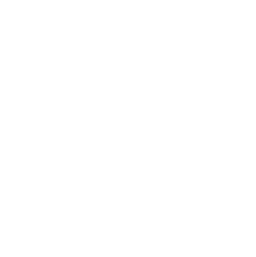 google-review-logo